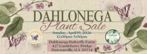 Plant Sale